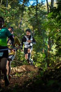 BIB: 123
                            <button type="button" onclick="openModal(19229991)" class="btn btn-primary btn-sm float-right btn-popup" data-toggle="modal" data-target=".modal-high-quality">
                        <i class="fas fa-shopping-cart"></i> Add to Cart
                    </button>
                                            <button type="button" onclick="isThisMe(19229991, true)" class="btn btn-success btn-sm float-right btn-popup btn-isme hidden" data-toggle="tooltip" data-placement="bottom" title="นี่คือรูปของคุณใช่ไหม คลิกที่นี่เพื่อเอาเข้าอัลบั้ม">
                        <i class="fas fa-plus"></i> Add to album
                    </button>
                    <button type="button" onclick="isThisMe(19229991, false)" class="btn btn-warning btn-sm float-right btn-popup btn-isnotme hidden">
                        <i class="fas fa-ban"></i> Remove from album
                    </button>